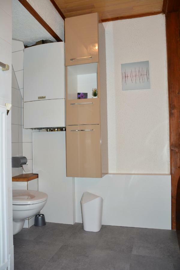 Le Cerf Apartment Colmar Luaran gambar