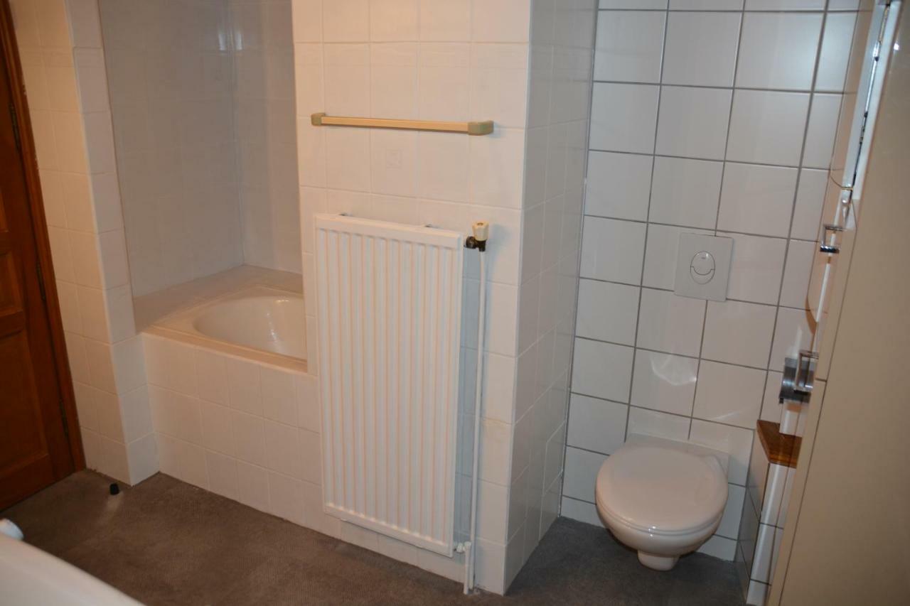 Le Cerf Apartment Colmar Luaran gambar